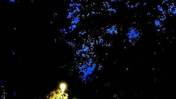 Chren: Zlý stav verejného osvetlenia bude minulosťou, mesto na tento účel schválilo novú mestskú firmu