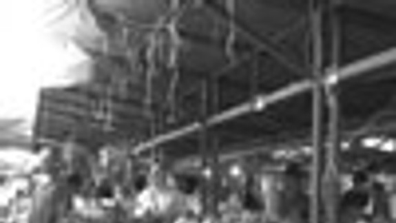 Sladké ovocie poznania, život - základ školy