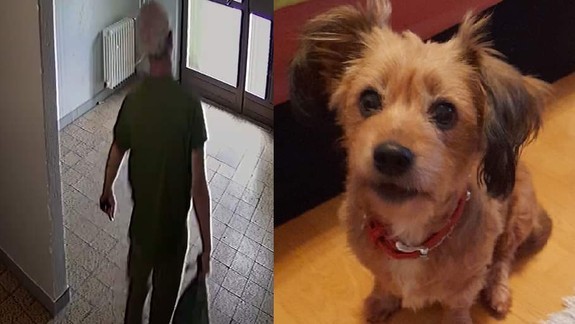 Hrozné: Muž v Dúbravke zabil z pomsty sekerou exmanželkinho psíka adoptovaného z útulku