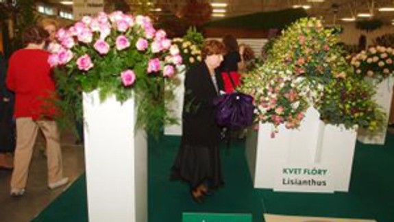 Atrakciou Flóry Bratislava je pestrofarebný kvet lisianthus