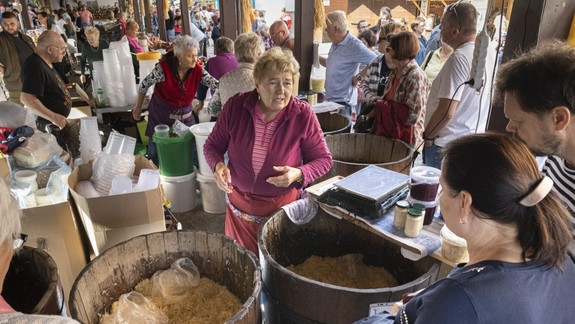 Stupava sa pripravuje na Dni zelá, sľubuje hviezdy svetového formátu