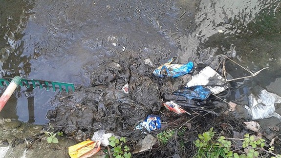 Čistenie brehov Dunaja: Zapojiť sa môže každý