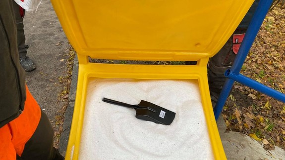 Posypová soľ je nebezpečná pre psie labky - ako ich najlepšie chrániť?