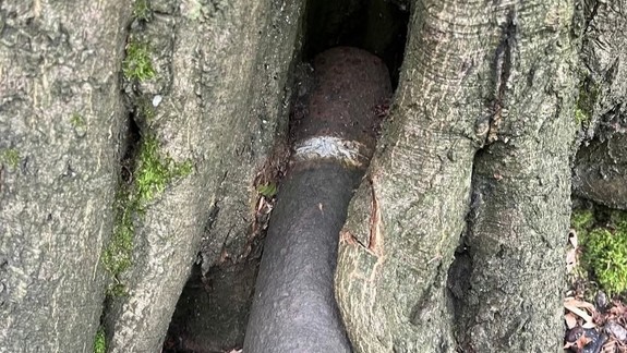 Policajti v lese pod Kačínom odstraňovali zo stromu delostreleckú muníciu