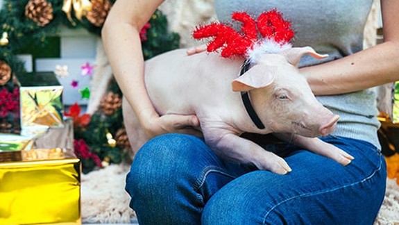 Najhoršie darčeky všetkých čias! Dostali ste niektorý z nich aj vy?