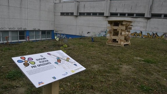 Aj v bratislavskom Novom Meste budú chovať včely! 