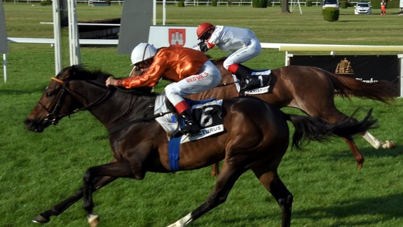 FOTO: Zdá sa, že jazdecká aj dostihová sezóna sa asi takisto predčasne skončia...