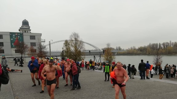 Ľadové medvede si zaplávajú a pokrstia nových otužilcov