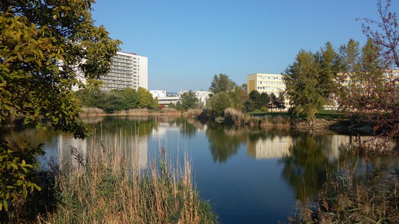 Neviete, kam zajtra vyraziť s deťmi? Príďte na rybárske preteky na jazero Rohlík