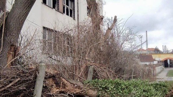 Výsledok silného vetra v hlavnom meste: Vyvrátené stromy, zničené múry