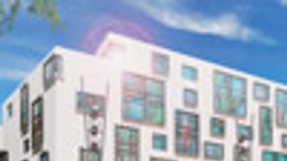 Aleja stromov na Poštovej ulici zostane zachovaná