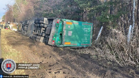 Nehoda na D2: Kamionista prevážajúci 650 ošípaných dostal mikrospánok a zišiel z cesty