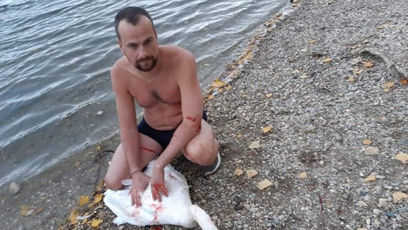 Dojímavé! Cudzinec  na Draždiaku zachránil labuť