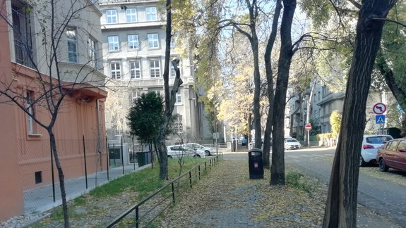 Obyvatelia Gajovej: Borovicu v predzáhradke nám vyrúbali, ale stromy, ktoré ničia chodník, zostali