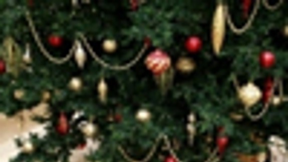 Nadácia Orange spríjemní Vianoce ľuďom v núdzi