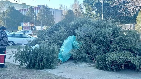 Stromčekov v ohrádkach je veľa, stíhať ich odvoz je problém