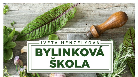 Liečivé recepty a rady z Bylinkovej školy