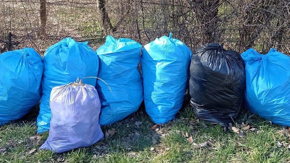 FOTO Lesík na Haanovej je vďaka petržalským dobrovoľníkom opäť čistý