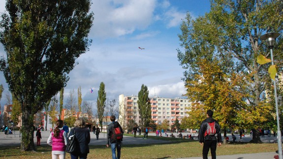 Dúbravka chystá šarkaniádu – padne na nej nový rekord?