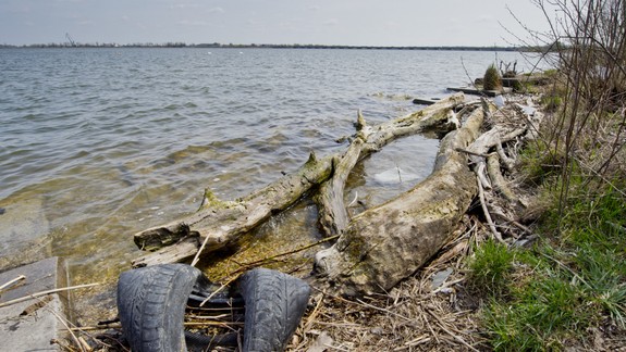 Ochranári: V lužných lesoch od Čunova až po Sap je nedostatok vody, spôsobuje to VD Gabčíkovo