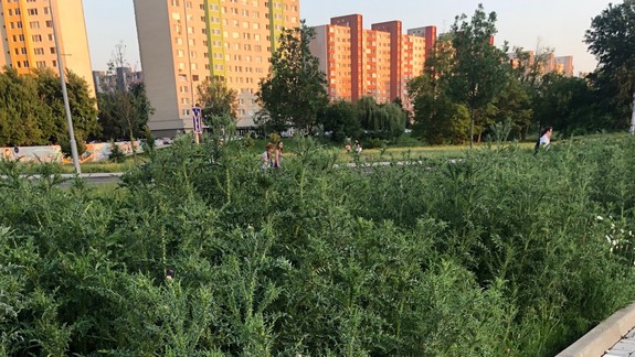 Zanedbané petržalské lokality: Len 75 zamestnancov podniku nie je všemocných