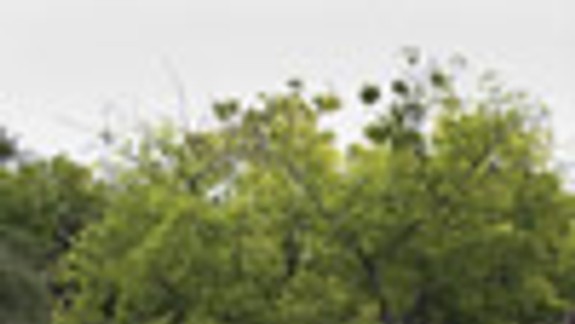 Na Poštovej bude namiesto parku hotel