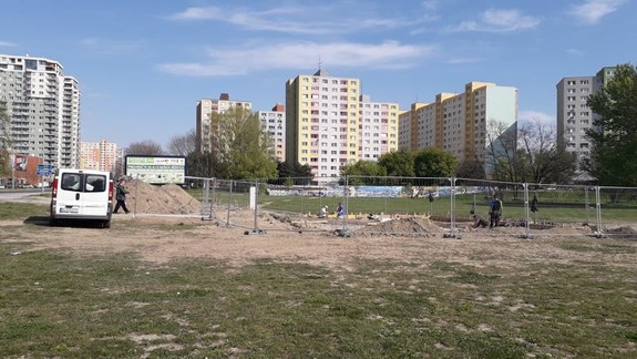 Zistili sme: Čo vyrastie na Bosákovej v Petržalke?