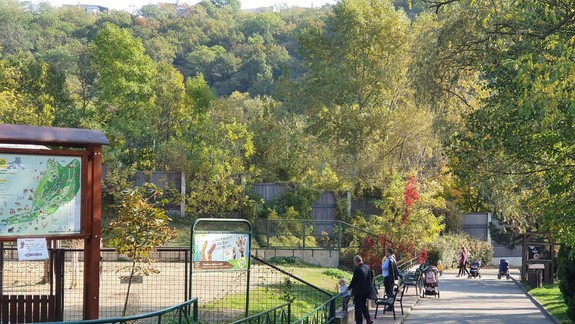 Mesto zatvára všetky svoje verejné inštitúcie - divadlá, galérie, múzeá, plaváreň či ZOO