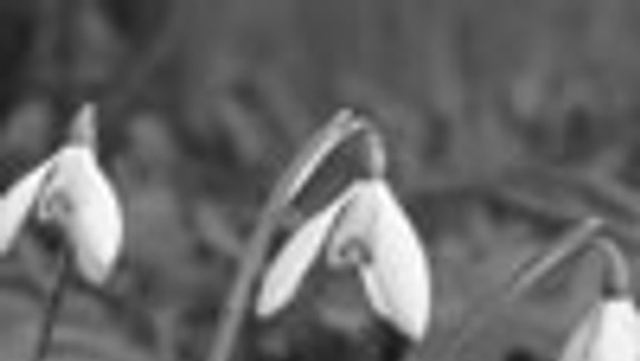 V bráne nám voňalo každé ročné obdobie