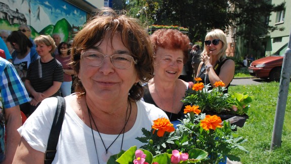 Dúbravka rozkvitne: Mestská časť bude opäť rozdávať letničky