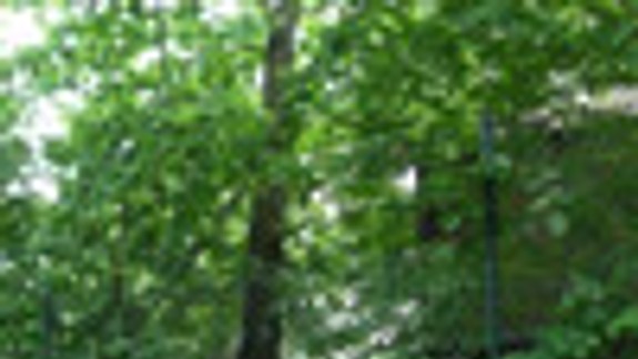 Obyvatelia sú proti novému bytovému domu