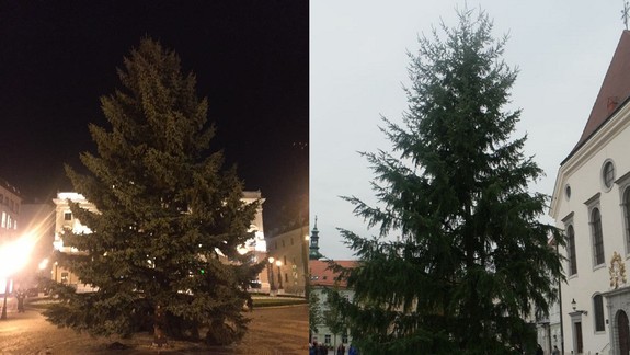FOTO: Ktorý vianočný stromček sa vám páči viac - Na Hlavnom alebo Hviezdoslavovom námestí?