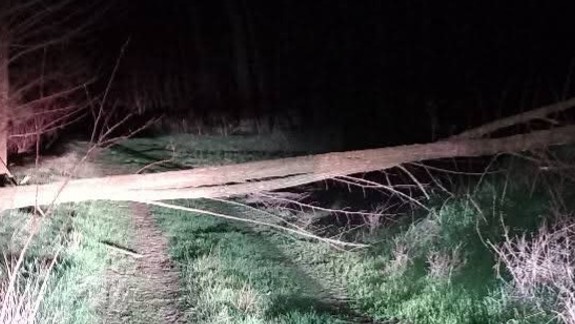 Poľné cesty zatarasili stromami: Do Plaveckého Štvrtka sa v súčasnosti dostanete len cez dva vstupy