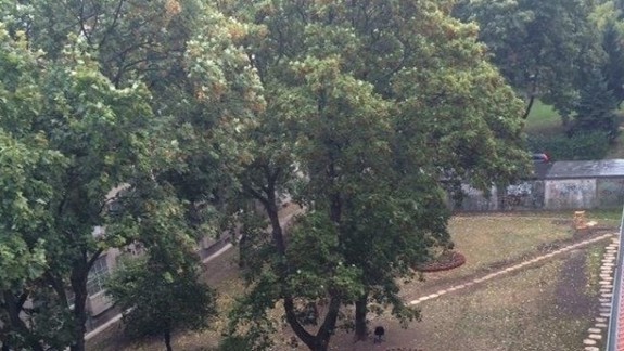 Máte nápad, ako zlepšiť život v Ružinove? Je šanca, že vám ho preplatia