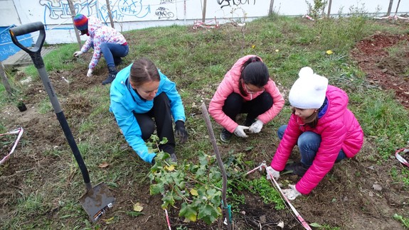 FOTO Športový areál na Majerníkovej bude bohatší o nové stromy a kríky: Ruku k dielu priložili aj žiaci