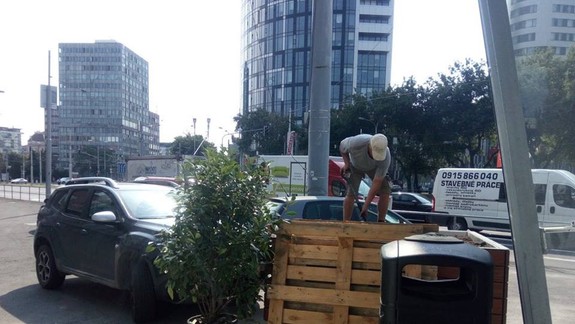 FOTO: Na Trnavskom mýte už pribúda zeleň - pri vchodoch do podchodu teda nebude len asfalt!