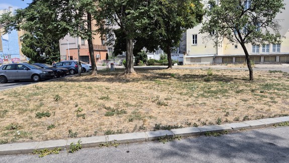 Horúčavy neskončili, v piatok môže byť na západe Slovenska 33 stupňov Celzia