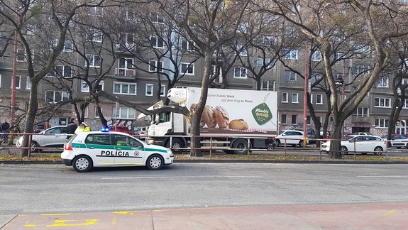 Na Karadžičovej ulici narazil kamión do stromu a mohutný konár spadol rovno na cestu