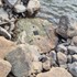 Pokles Dunaja odhalil pri Devíne fragment Miléniového pamätníka