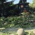Zlámané stromy, nepriechodný chodník: Búrka narobila na nábreží v Starom Meste spúšť