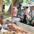 Preneste sa do elegantnej minulosti: V Sade Janka Kráľa sa koná dobový piknik
