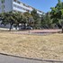 Teploty v budúcnosti výrazne porastú, Bratislava má však výhodu, len ju musí dokázať využiť