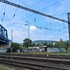 Kuriozita: Zrušenie a meškanie viacerých vlakov v Bratislave spôsobil had