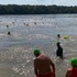 Do vôd Dunaja sa vrhne vyše 4-tisíc ľudí, koná sa ďalší ročník Trans Danube Swim
