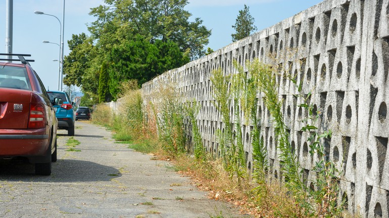 Zarastajúci chodník pri cintoríne Rača na Žitnej