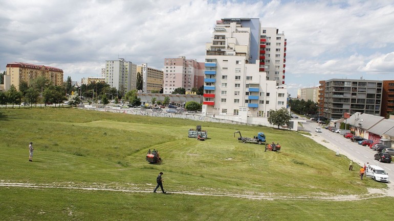 Príprava na podujatie Športuj TY a PES v Dúbravke