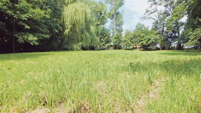 Obyvateľom sa kosenie nepozdávalo, magistrát však tvrdí, že bolo správne - luka