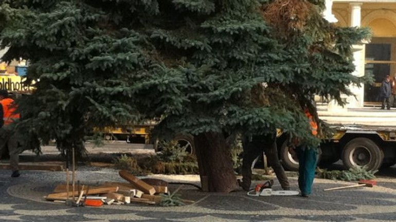 V piatok sa začínajú vianočné trhy - Strom2