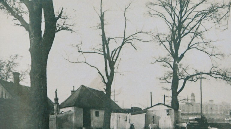 Chatrče v Elýziu. V pozadí vidno sklad č.7 pri Eurovei