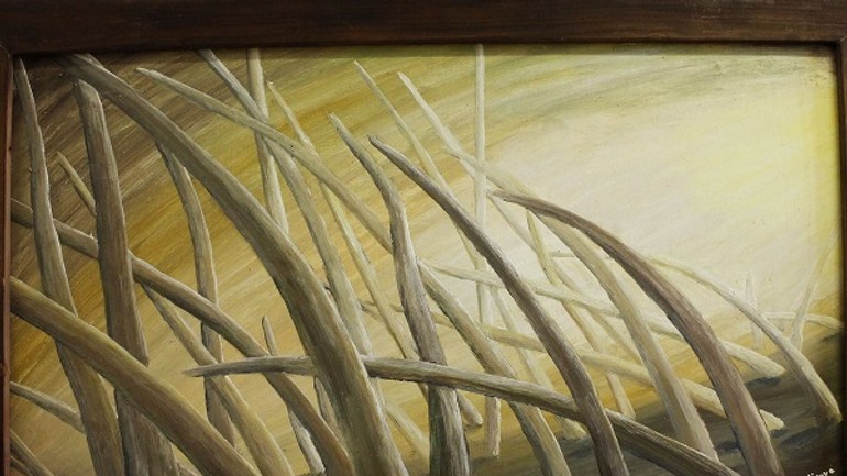 Pomôcť obrazmi? dúbravka organizuje benefičnú výstavu - trava